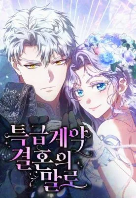 Vows-and-Vendettas