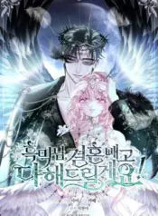 Anything-but-Marriage-Mr.-Villain