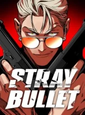 Stray-Bullet